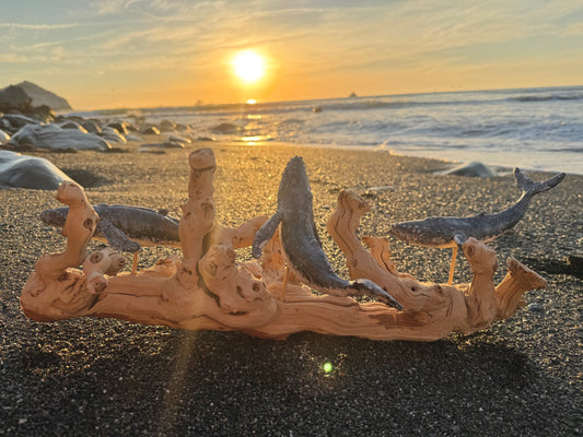 Driftwood with small humpback whale on a beach at sunset