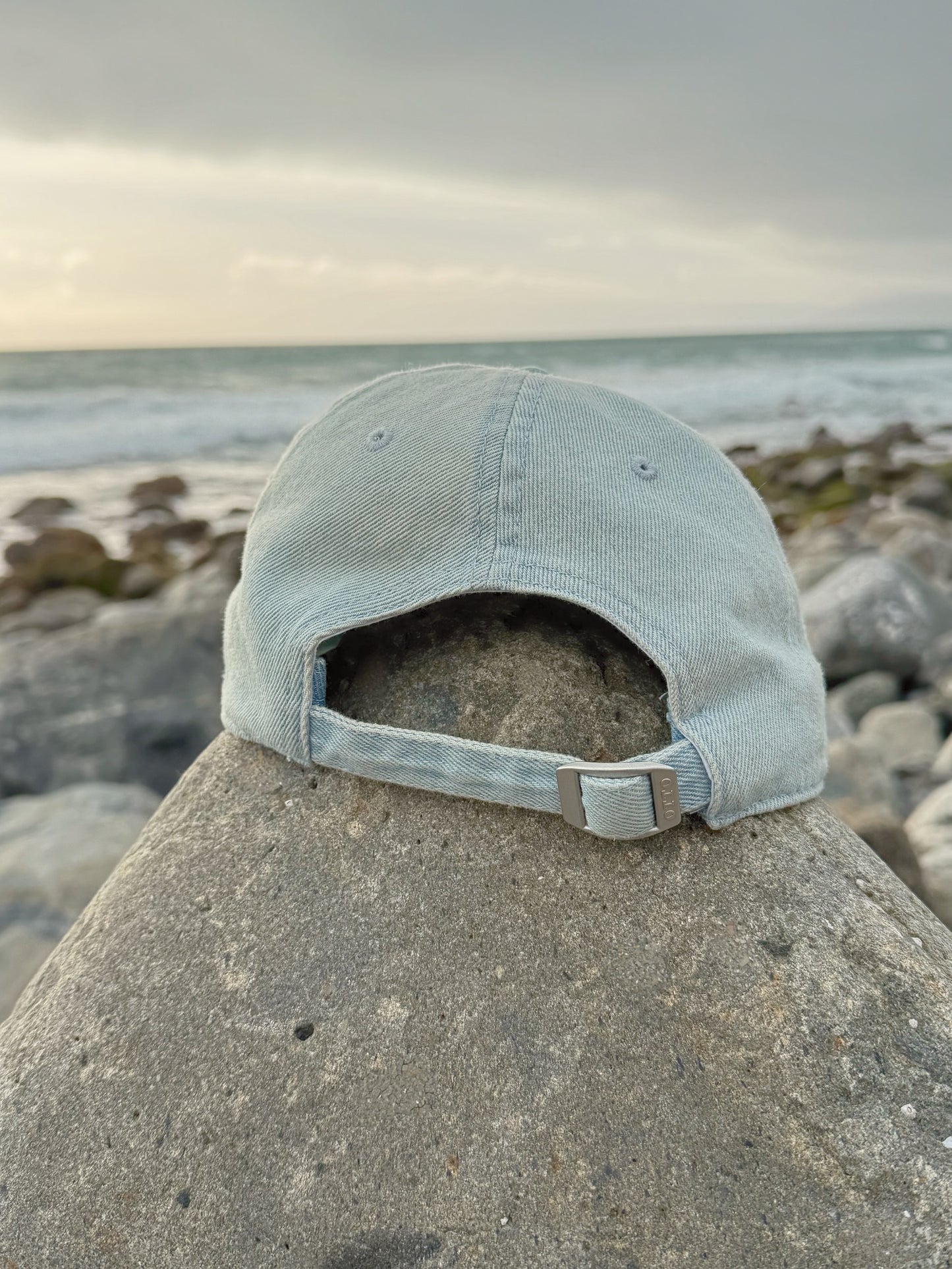 Fish Bone Hat