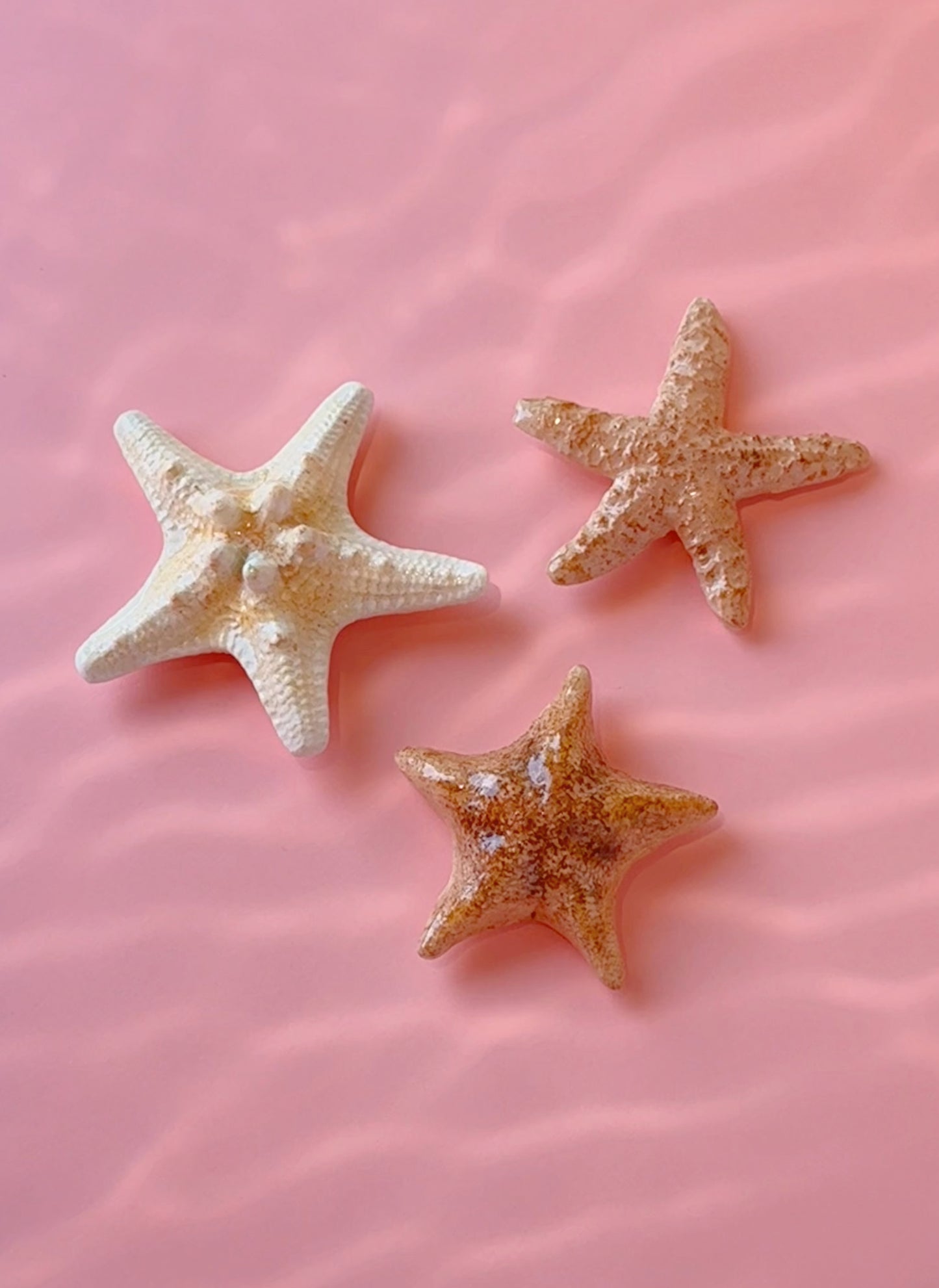 Starfish Magnets - Large