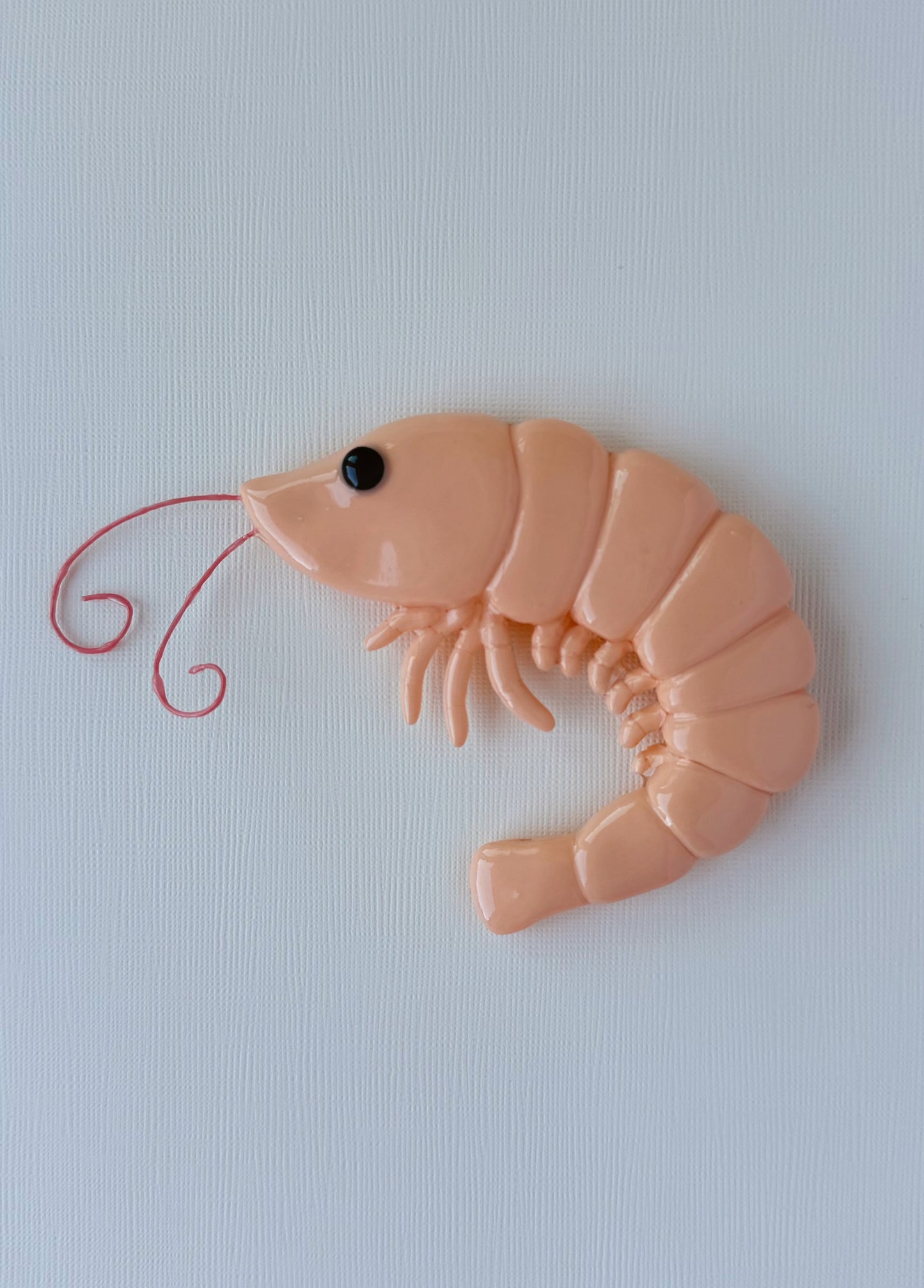 Shrimp Magnet