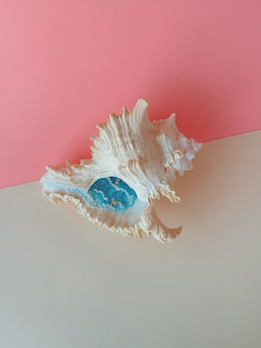 Seashell with blue ocean interior on a pink and beige gradient background