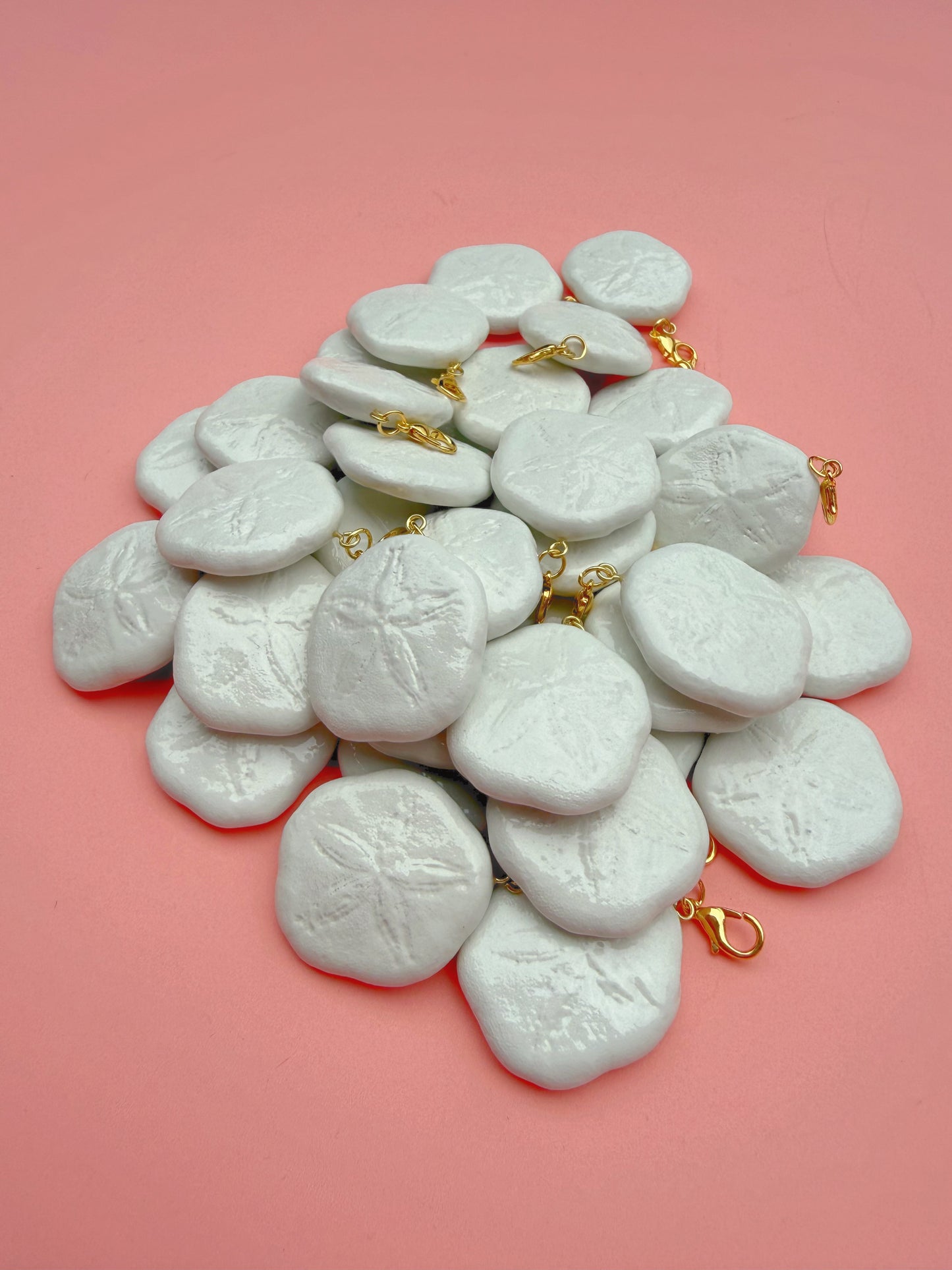 June Charm - Sand Dollar Biscuit