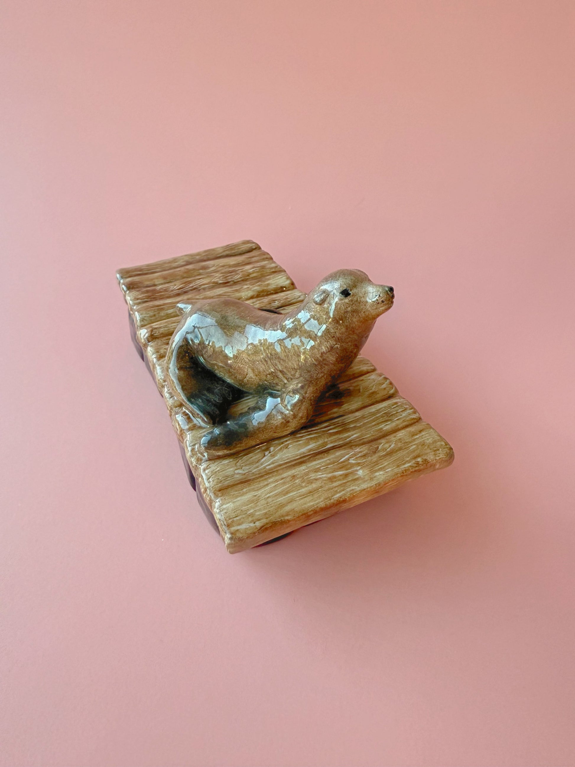 California Sea lion on a floating dock with a pink background 