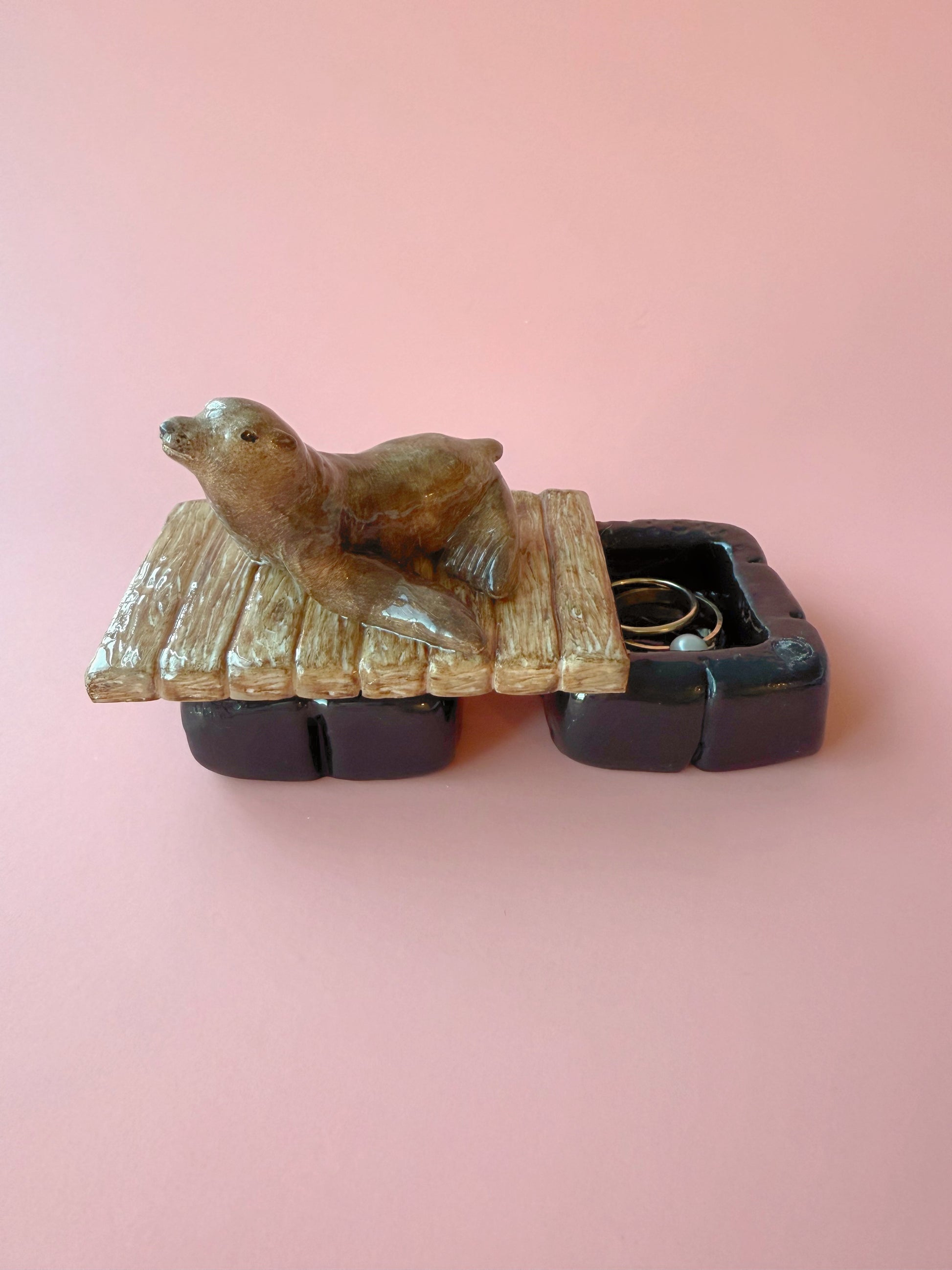 California Sea lion on a floating dock with a pink background 