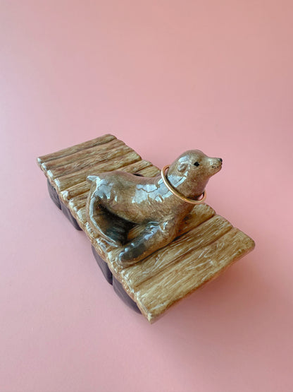 California Sea lion on a floating dock with a pink background 