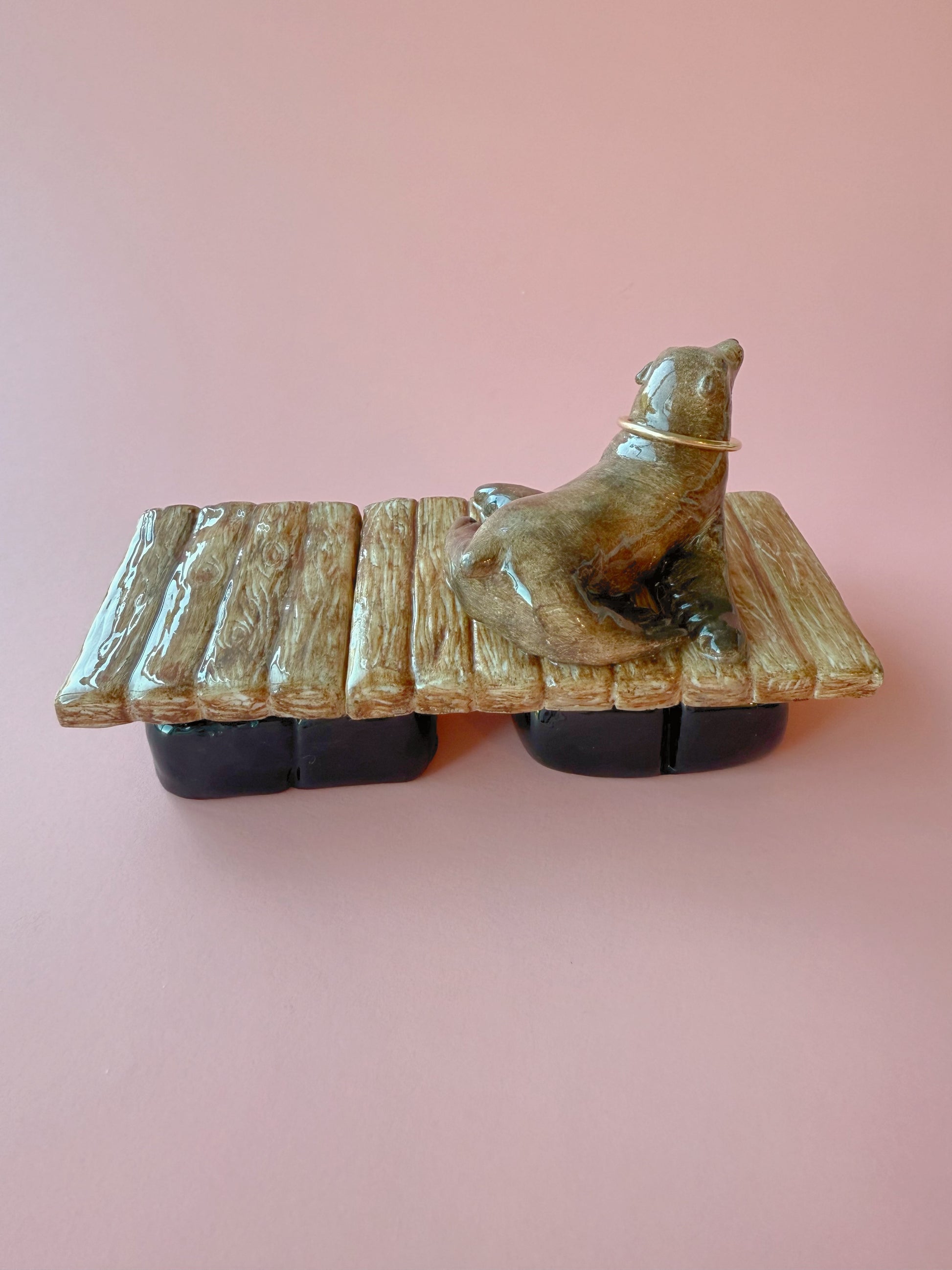 California Sea lion on a floating dock with a pink background 