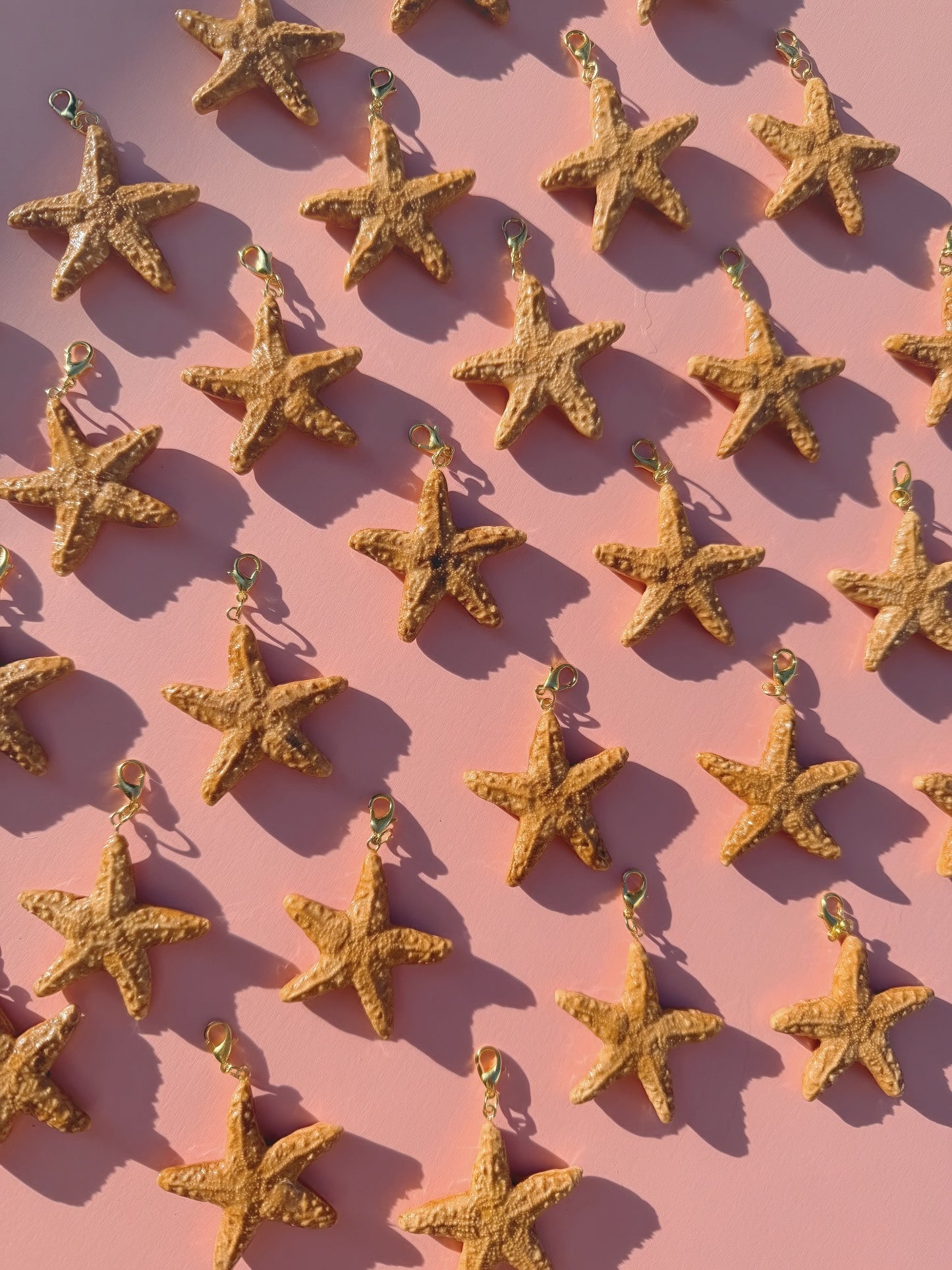 May Charm - Sugar Starfish