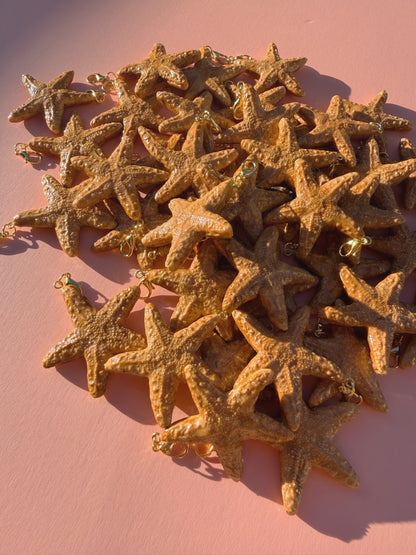 May Charm - Sugar Starfish