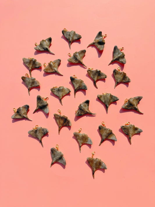 July Charm - Cownose Ray