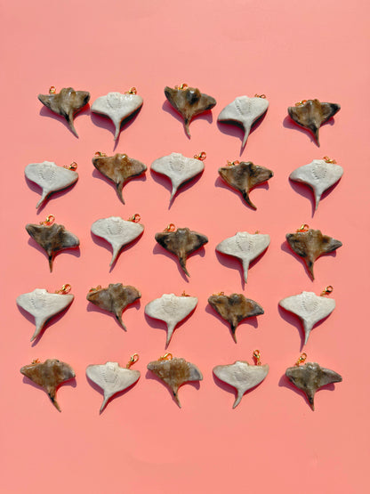 July Charm - Cownose Ray
