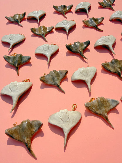 July Charm - Cownose Ray