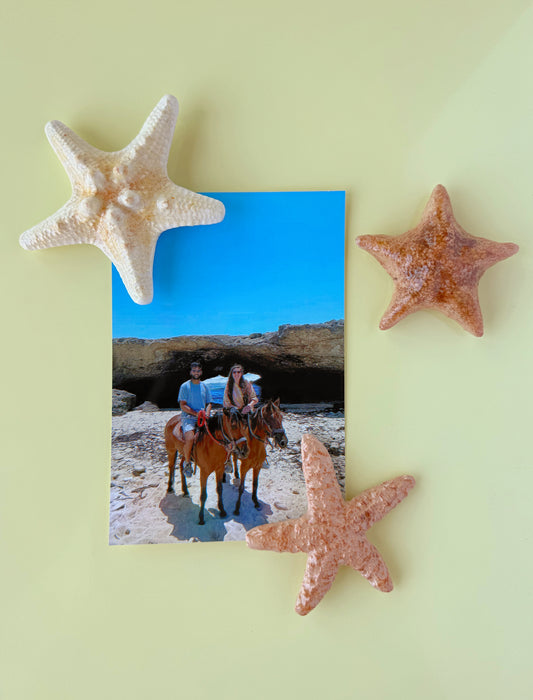 Starfish magnets on a light green background with a photo of people on horses.