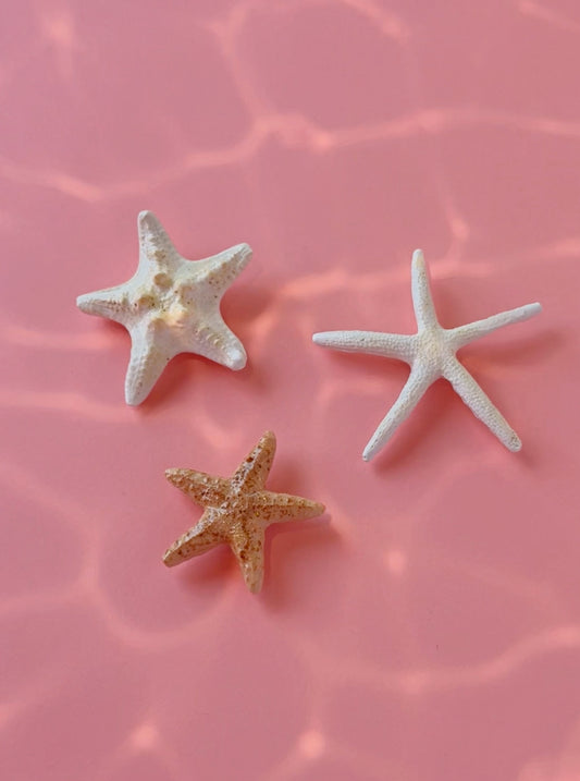 Three starfish magnets on a pink surface
