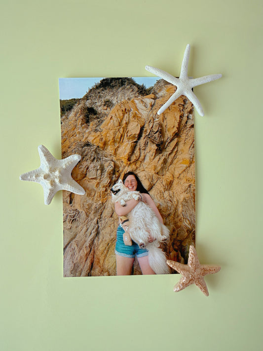 photo of girl holding dog with starfish magnets on yellow background 