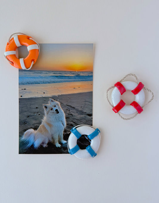Life ring/buoy magnets with a photo of  a dog on the beach with a white background 