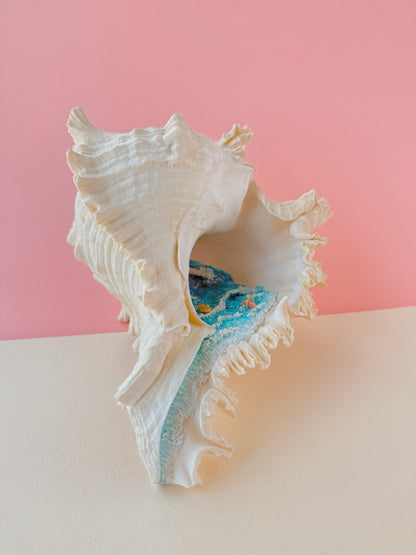Surf Shell Sculpture
