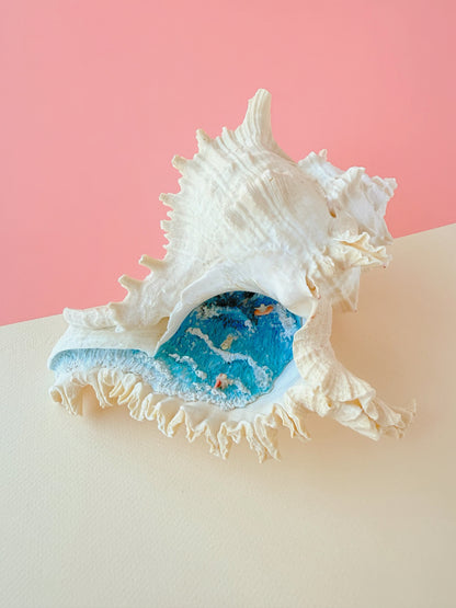 Surf Shell Sculpture